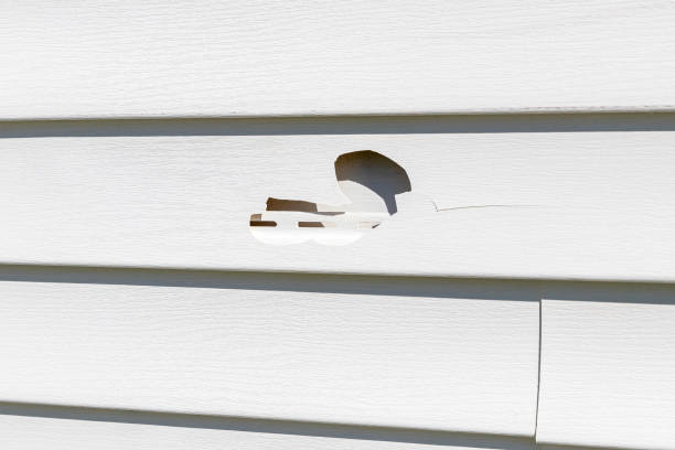 Best Composite Siding  in Grandy, NC