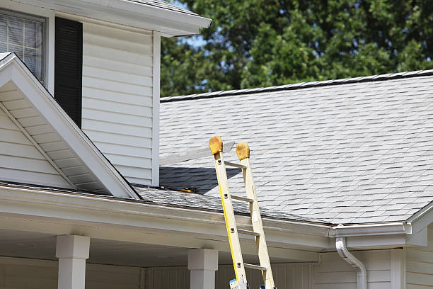 Best Stucco Siding  in Grandy, NC